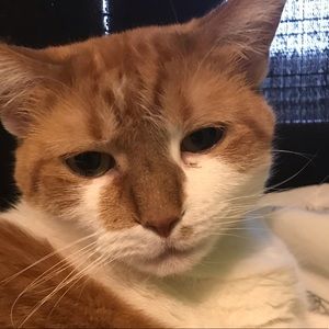 Meet your Posher, Taran